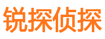 宁都外遇出轨调查取证